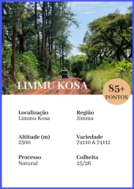 Limmu Kosa - Natural G1