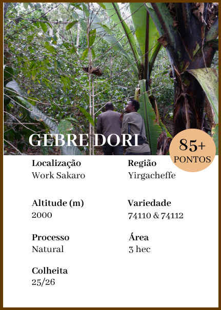 Gebre Dori - Worka Sakaro Natural