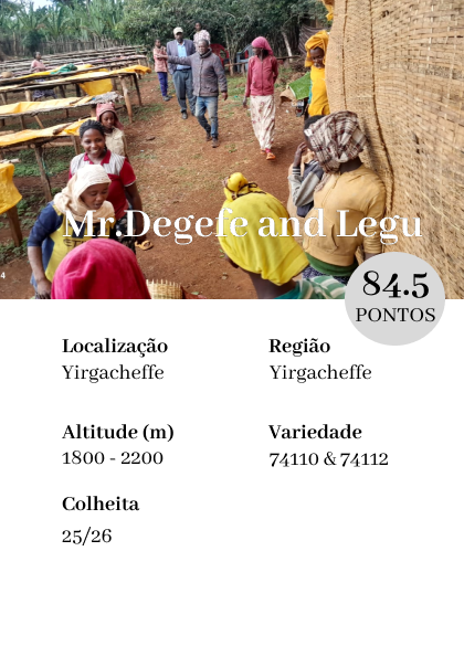 Mr. Degefe & Legu – Yirgacheffe Blend Grade 2
