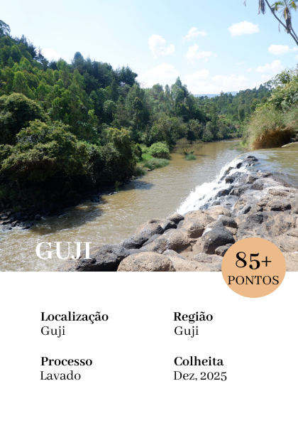 Guji - Lavado G1